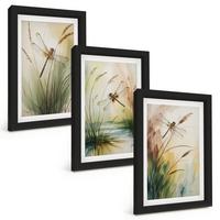 BILDER SET 3er Set - 20x30 cm Schwarzer Rahmen - Libellen im Gras, Wassermalerei - Schwarz, Kunststoff (20/30cm) - TULUP