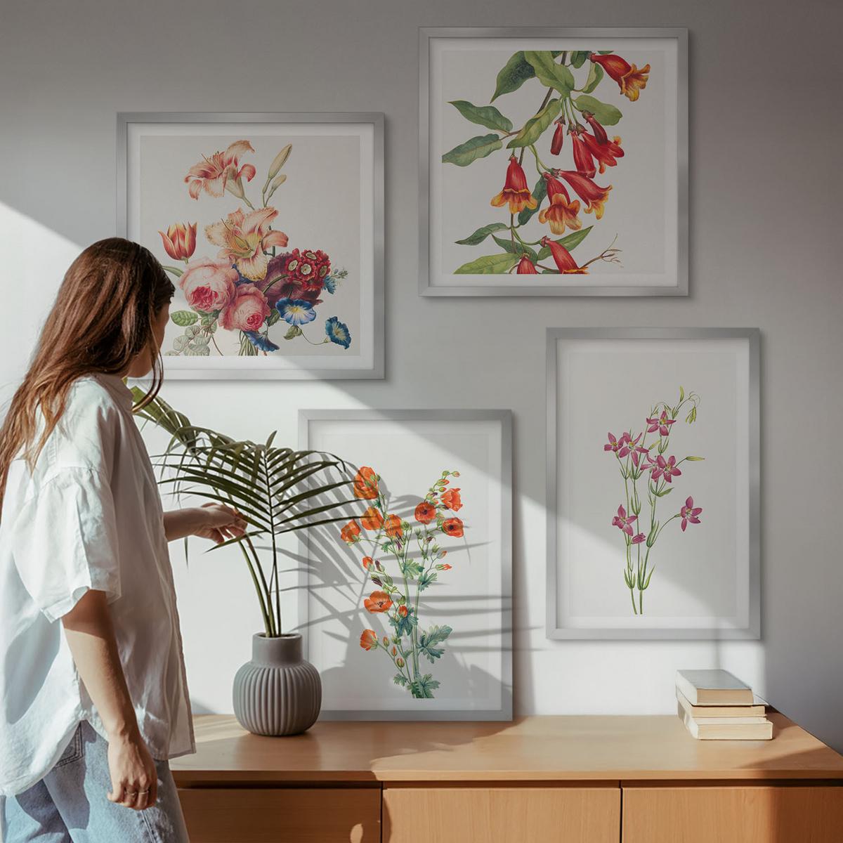 BILDER SET 4er Set - 50x50 cm & 40x60 cm Silberner Rahmen - Blumenmalerei im Retro-Stil - Silberfarben, Kunststoff (50/50cm) - TULUP