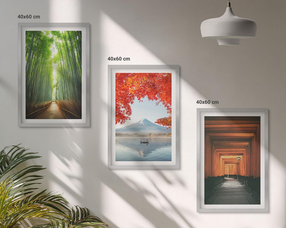 BILDER SET 3er Set - 40x60 cm Silberner Rahmen - Fuji-Bambuswaldlandschaft - Silberfarben, Kunststoff (40/60cm) - TULUP