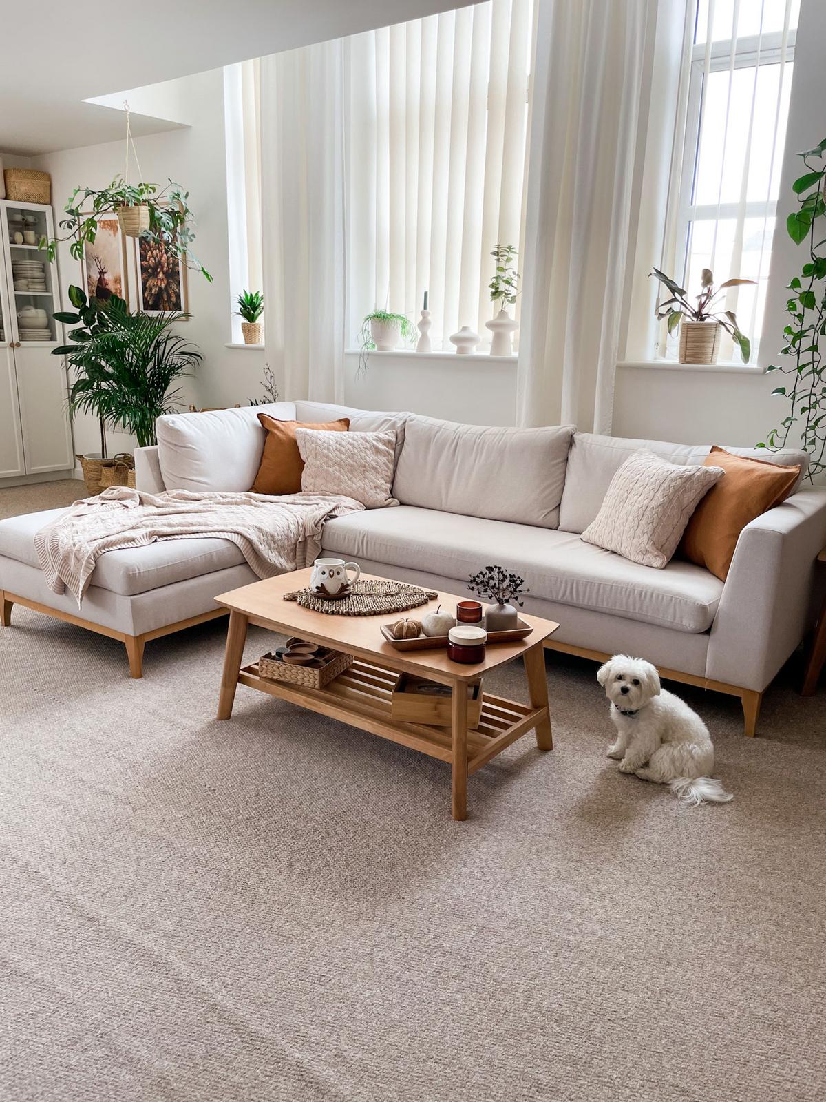 COUCHTISCH heller Holzfarbton rechteckig 55/100 cm Tulare - Hellbraun, Holz (100/55/42cm) - Beliani