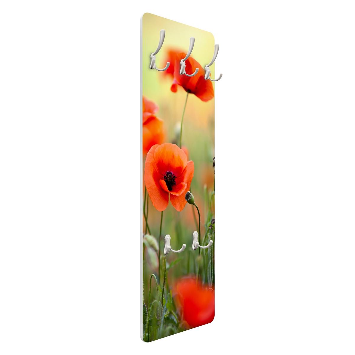 WANDGARDEROBE - Roter Sommermohn 34/105 cm - Grün, Holzwerkstoff (34/105/1.6cm) - Bilderwelten