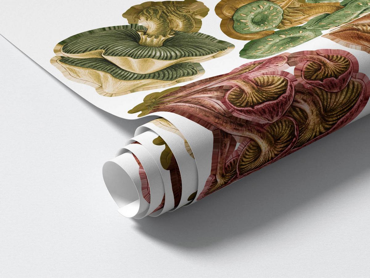 WANDAUFKLEBER 100x48cm - Pilzwiese - Multicolor, Kunststoff (100/48/0.1cm) - Wallfluent