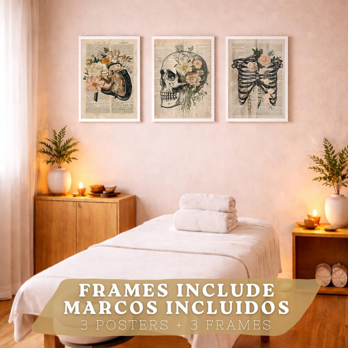 POSTER Set aus 3 Anatomie Mensch Drucke und Wandbilder mit Leber Rippen und Schädel Retro Floraler Stil Wanddekoration Größe Weißer Rahmen A4 - Weiß, Papier (21/29.7/3cm) - Nacnic