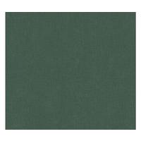 VLIESTAPETE Grün 53/1005 cm - Grün, Textil (53/1cm) - KUNSTLOFT