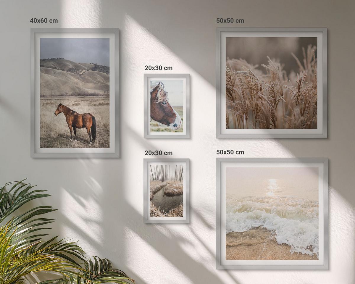 BILDER SET 5er Set - 50x50 cm & 20x30 cm & 40x60 cm Silberner Rahmen - Pferdelandschaft Seegraswald - Silberfarben, Kunststoff (40/60cm) - TULUP