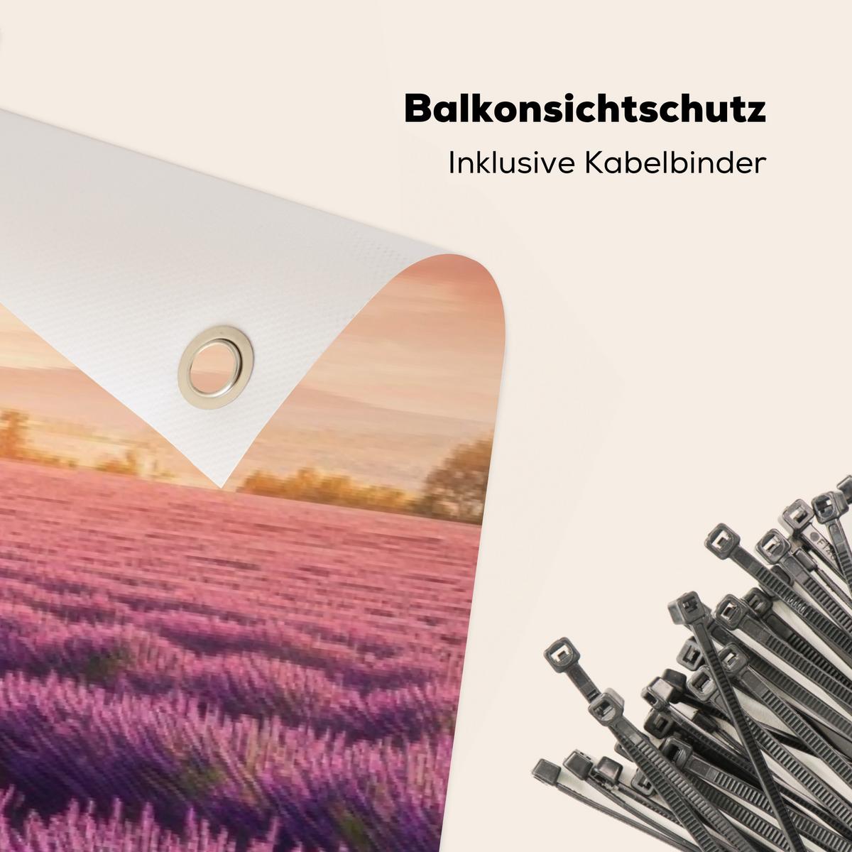 BALKON-SICHTSCHUTZ Lavendelfeld - Sonnenuntergang - Lila - Blumen Witterungsbeständig 300x80 cm - Violett, Kunststoff (300/80cm) - MuchoWow