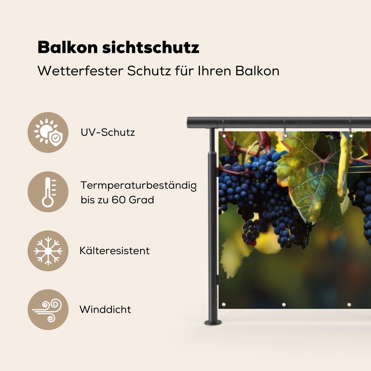 BALKON-SICHTSCHUTZ Trauben - Wein - Natur - Grün Windschutz 300x85 cm - Weinrot, Kunststoff (300/85cm) - MuchoWow