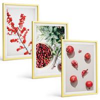 BILDER SET 3er Set - 40x60 cm Goldrahmen - Minimalismus der roten Früchte von Pflanzen - Goldfarben, Kunststoff (40/60cm) - TULUP