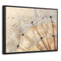 LEINWAND Bilder mit Rahmen - Löwenzahn - Abstrakt - Natur - Beige - 40x30 - Braun, Textil (40/30cm) - MuchoWow