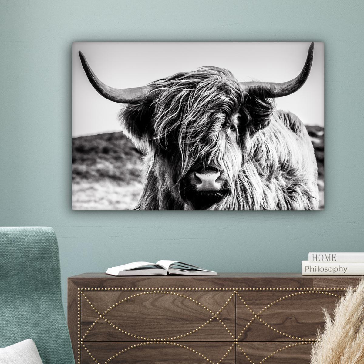 LEINWANDBILD Kuh - Schottischer Hochländer - Schwarz - Weiß - Tier - Natur - Wildtiere Gemälde 60x40 cm - Schwarz, Textil (60/40cm) - MuchoWow