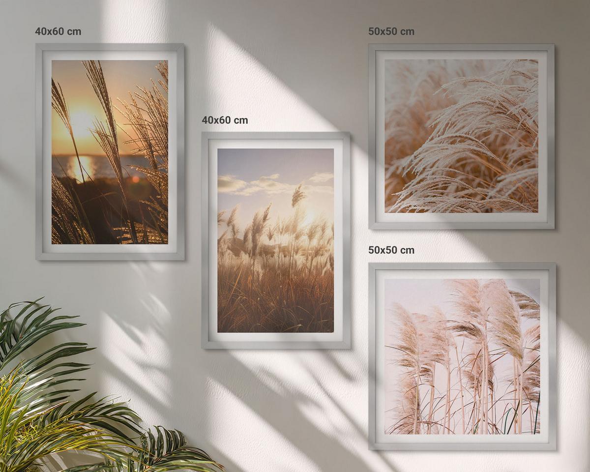 BILDER SET 4er Set - 50x50 cm & 40x60 cm Silberner Rahmen - Boho-Grasfeld-Sonnenuntergang - Silberfarben, Kunststoff (50/50cm) - TULUP