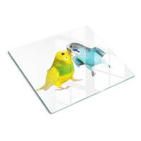 GLASPLATTE 60x52 cm Wellensittiche - Grau, Glas (60/0.4/52cm) - TULUP