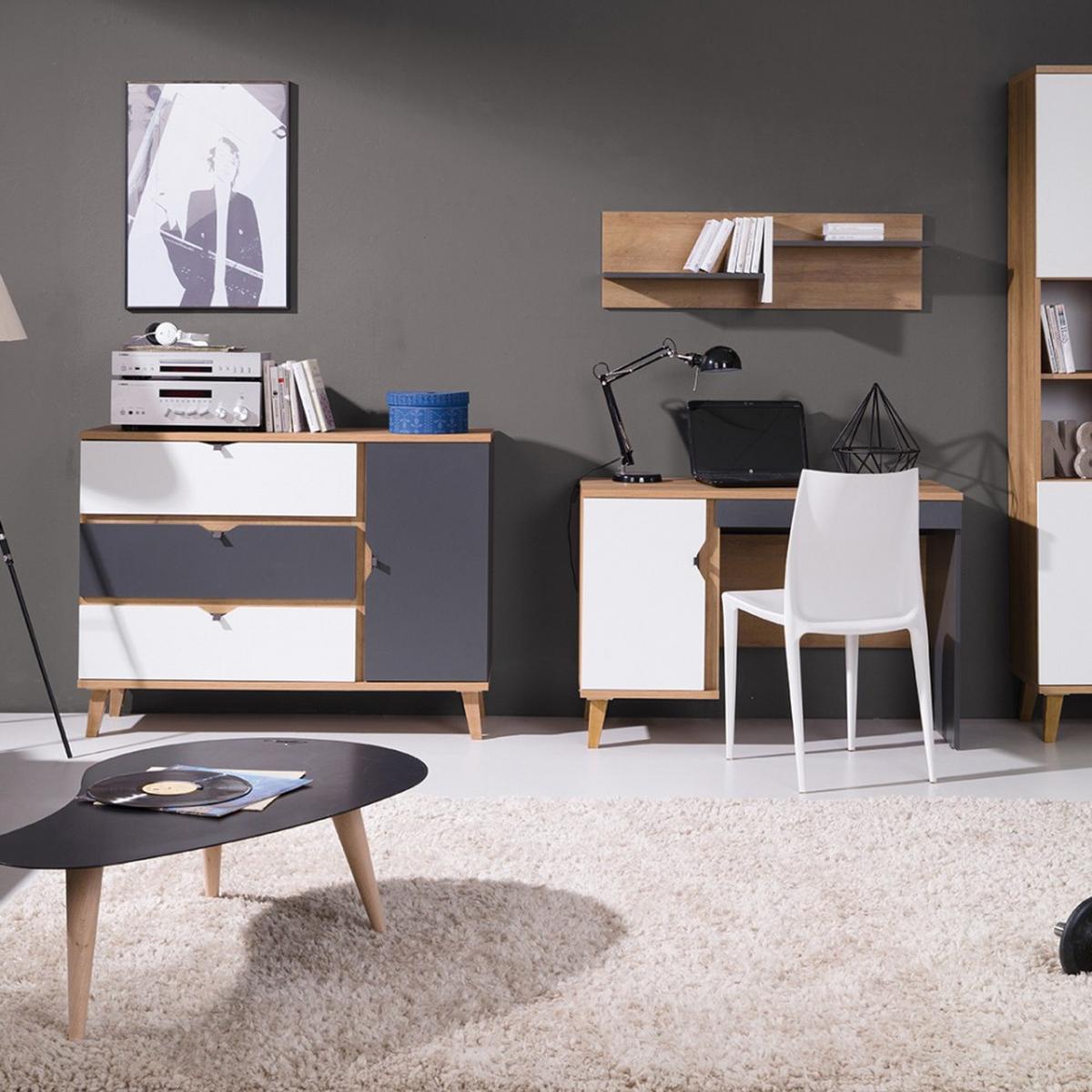 LOWBOARD Moreno mit 1 Tür und 1 Schublade, Eiche gold/mattweiß/graphit - Eichefarben/Graphitfarben, Holzwerkstoff/Kunststoff (120/48/40cm) - Beautysofa