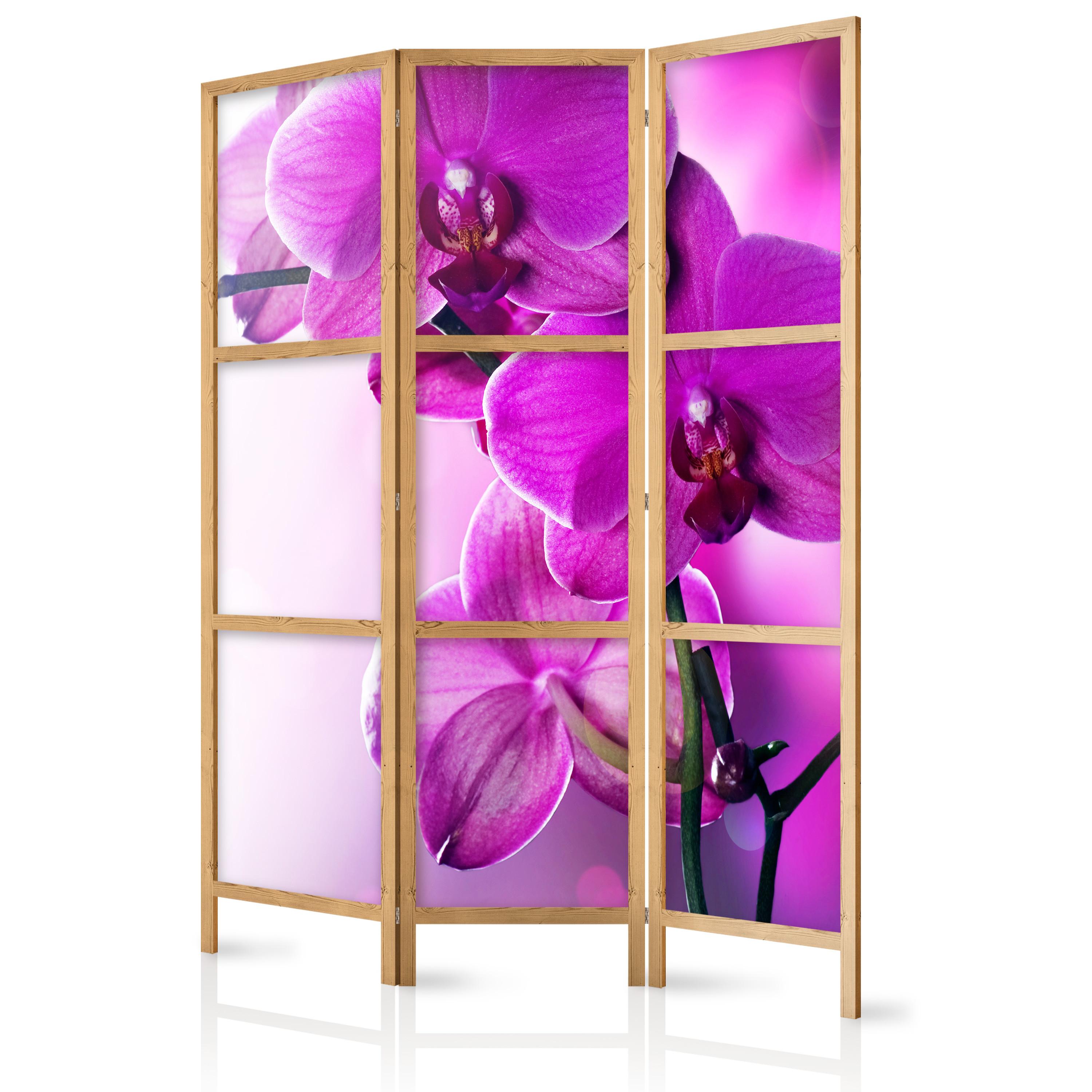 PARAVENT Japanischer 3-tlg 135x172 cm Orchideen - Rosa, Holz/Textil (135/172/3cm) - Muralo