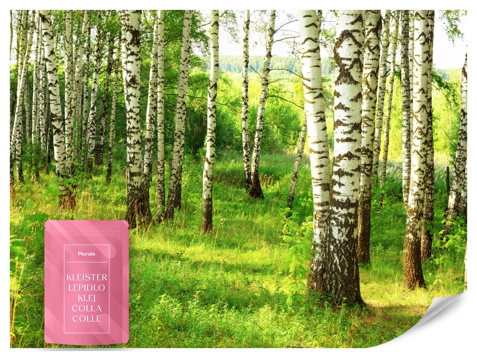 FOTOTAPETE für Esszimmer Birkenwald Bäume Natur 3D 100x70 - Schwarz/Braun, Papier (100/70cm) - Muralo