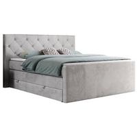 BOXSPRINGBETT KING VELEN 120/200 Hellgrau Velvet - H4 - Hellgrau, Holz/Textil (120/200cm) - MKS