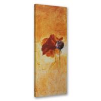 WANDBILD gemalte mohnblume - Braun, Textil (30/90cm) - Feeby