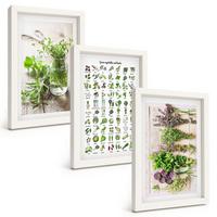 BILDER SET 3er Set - 20x30 cm Weißer Rahmen - Getrocknete Kräuter für die Küche - Weiß, Kunststoff (20/30cm) - TULUP