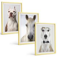 BILDER SET 3er Set - 40x60 cm Goldrahmen - Elegante Porträts von Hunden und Pferden - Goldfarben, Kunststoff (40/60cm) - TULUP