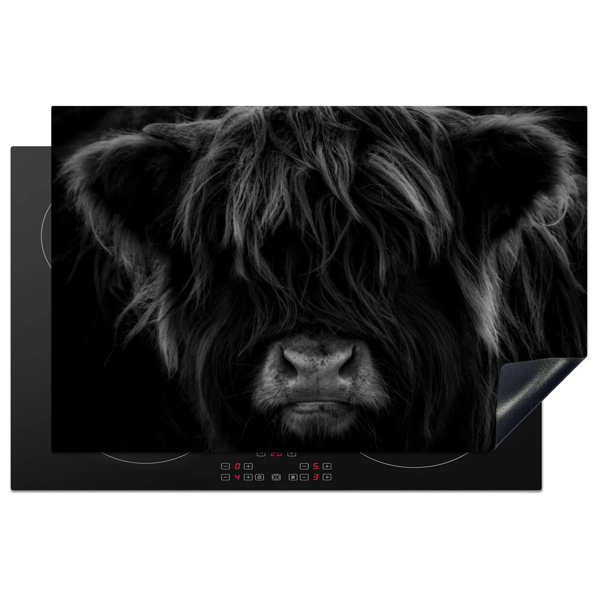 HERDABDECKPLATTE Schottischer Highlander - Kuh - Schwarz - Weiß - Tiere Induktionsschutz 81.6x52.7 cm - Schwarz, Kunststoff (81.6/52.7/0.2cm) - MuchoWow