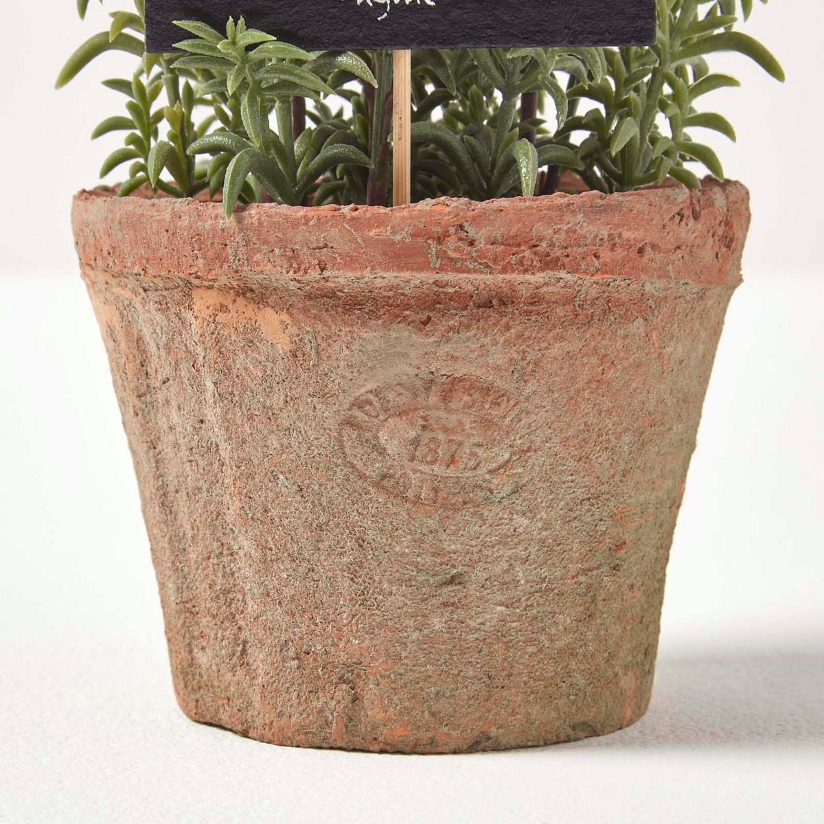 KUNSTPFLANZE Thymian im Terrakotta-Topf, 16 cm - Grün, Kunststoff (16cm) - Homescapes