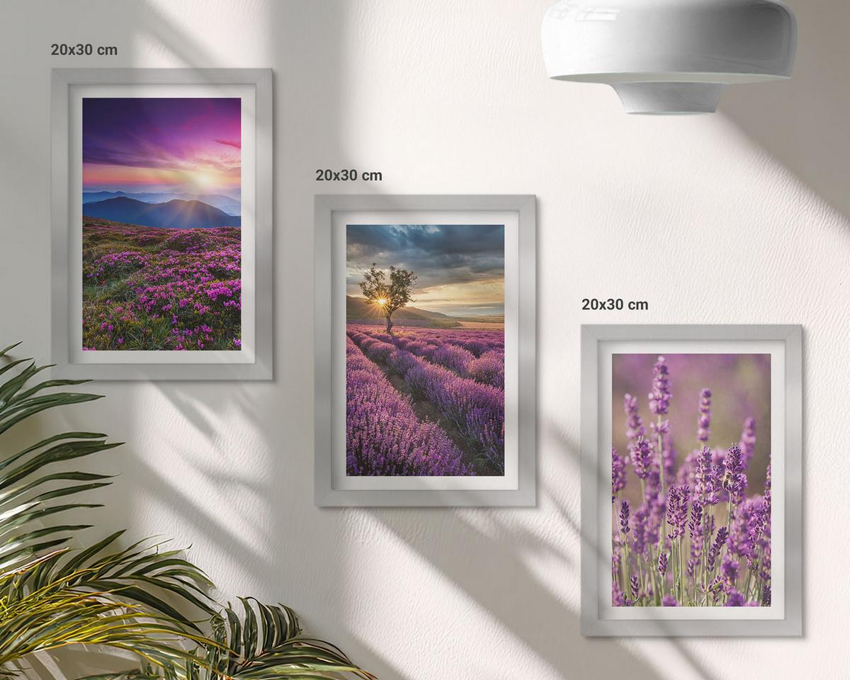 BILDER SET 3er Set - 20x30 cm Silberner Rahmen - Sonnenuntergang auf Lavendelfeldern - Silberfarben, Kunststoff (20/30cm) - TULUP