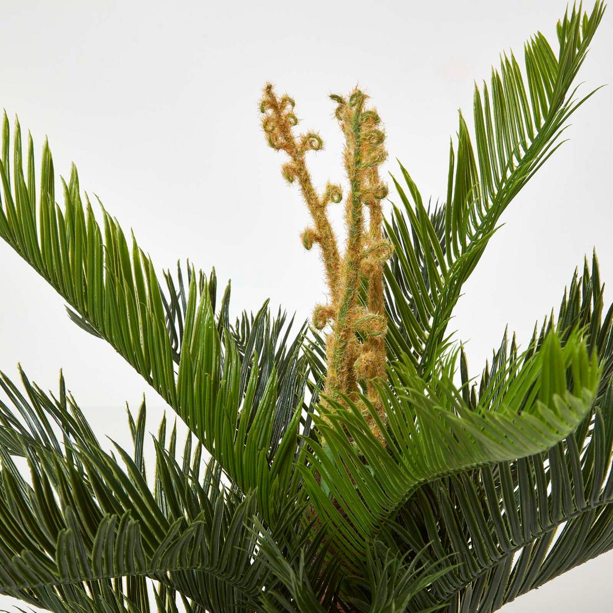 KUNSTPFLANZE Palmfarn grün, 75 cm - Grün, Kunststoff (75cm) - Homescapes