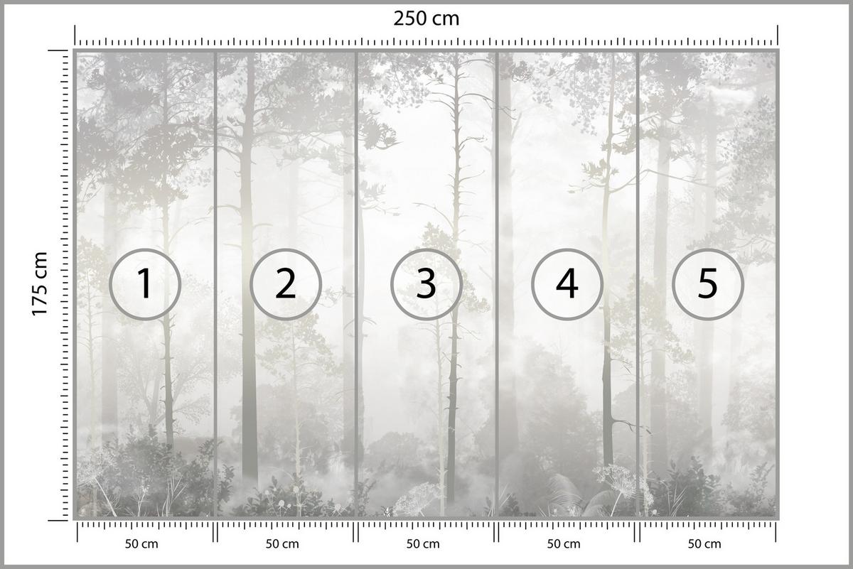 FOTOTAPETE für Schlafzimmer Nebliger Wald Bäume Sträucher Mystik 250x175 - Beige/Weiß, Papier (250/175cm) - Muralo