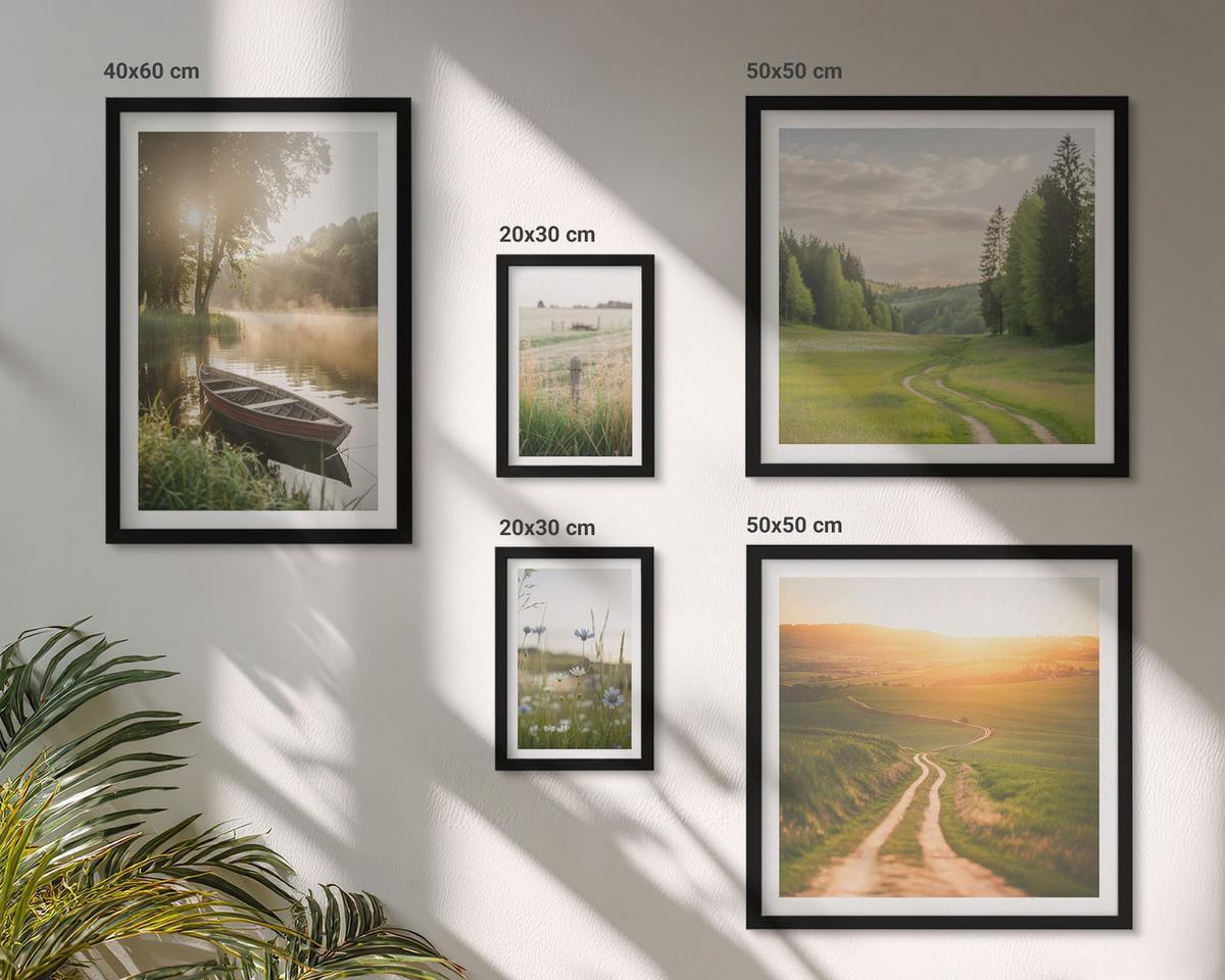 BILDER SET 5er Set - 50x50 cm & 20x30 cm & 40x60 cm Schwarzer Rahmen - Landschaftswiesenstraße West - Schwarz, Kunststoff (40/60cm) - TULUP