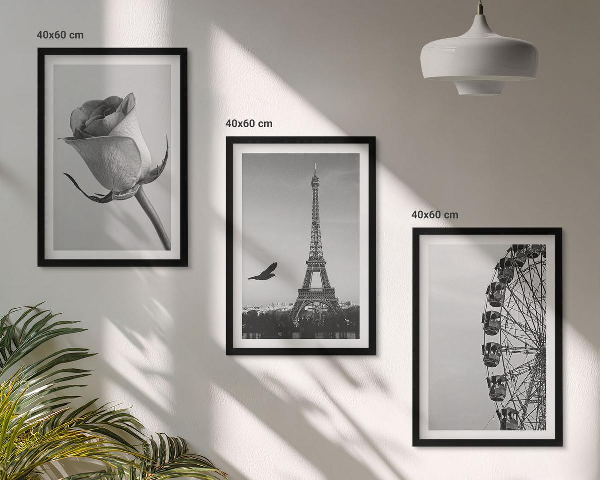 BILDER SET 3er Set - 40x60 cm Schwarzer Rahmen - Rose Eiffelturm Riesenrad - Schwarz, Kunststoff (40/60cm) - TULUP