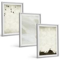 BILDER SET 3er Set - 40x60 cm Silberner Rahmen - Vögel, Steine, Pinselstriche, Verzierungen - Silberfarben, Kunststoff (40/60cm) - TULUP
