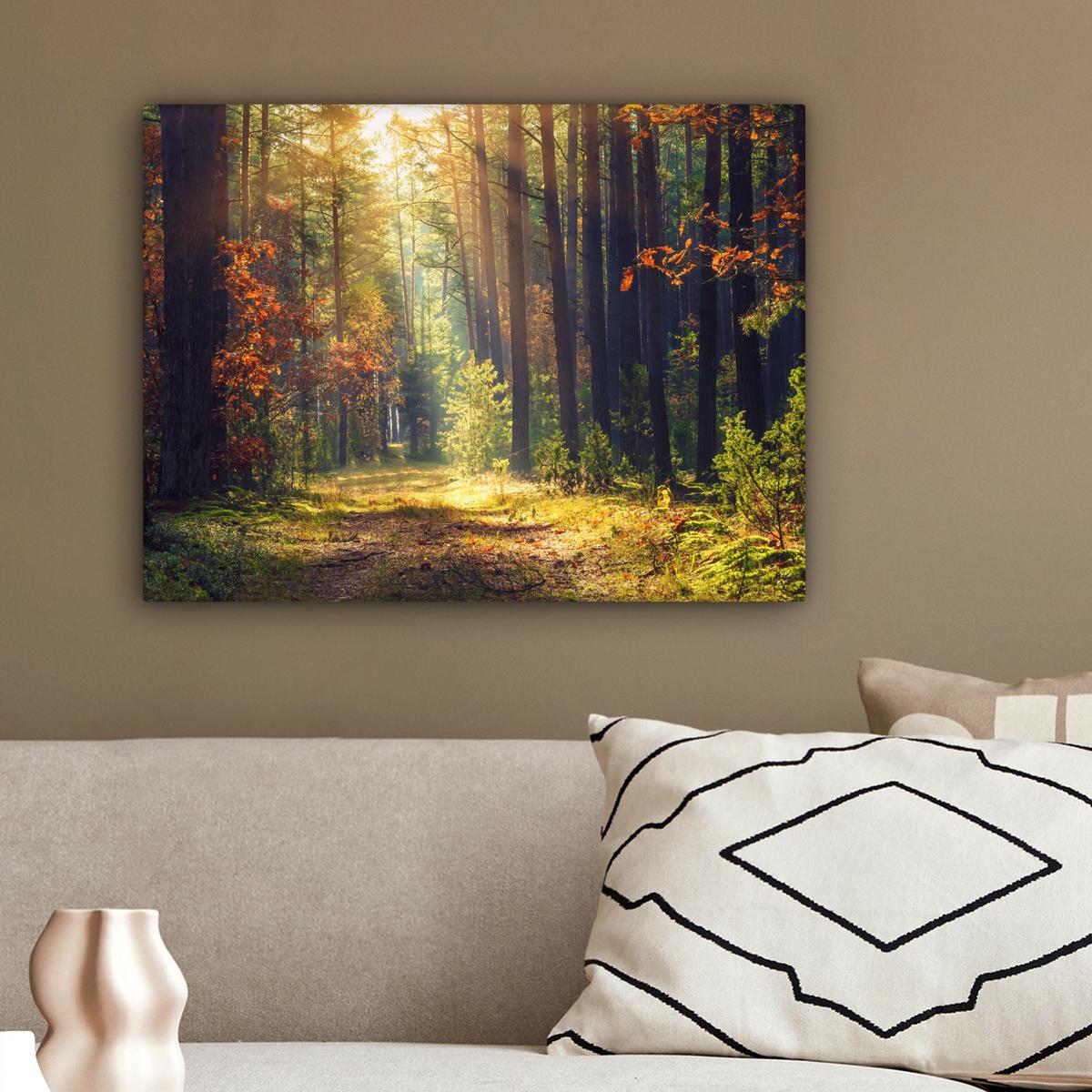 LEINWANDBILD Wald - Herbst - Bäume Wandbild 40x30 cm - Dunkelgrün, Textil (40/30cm) - MuchoWow