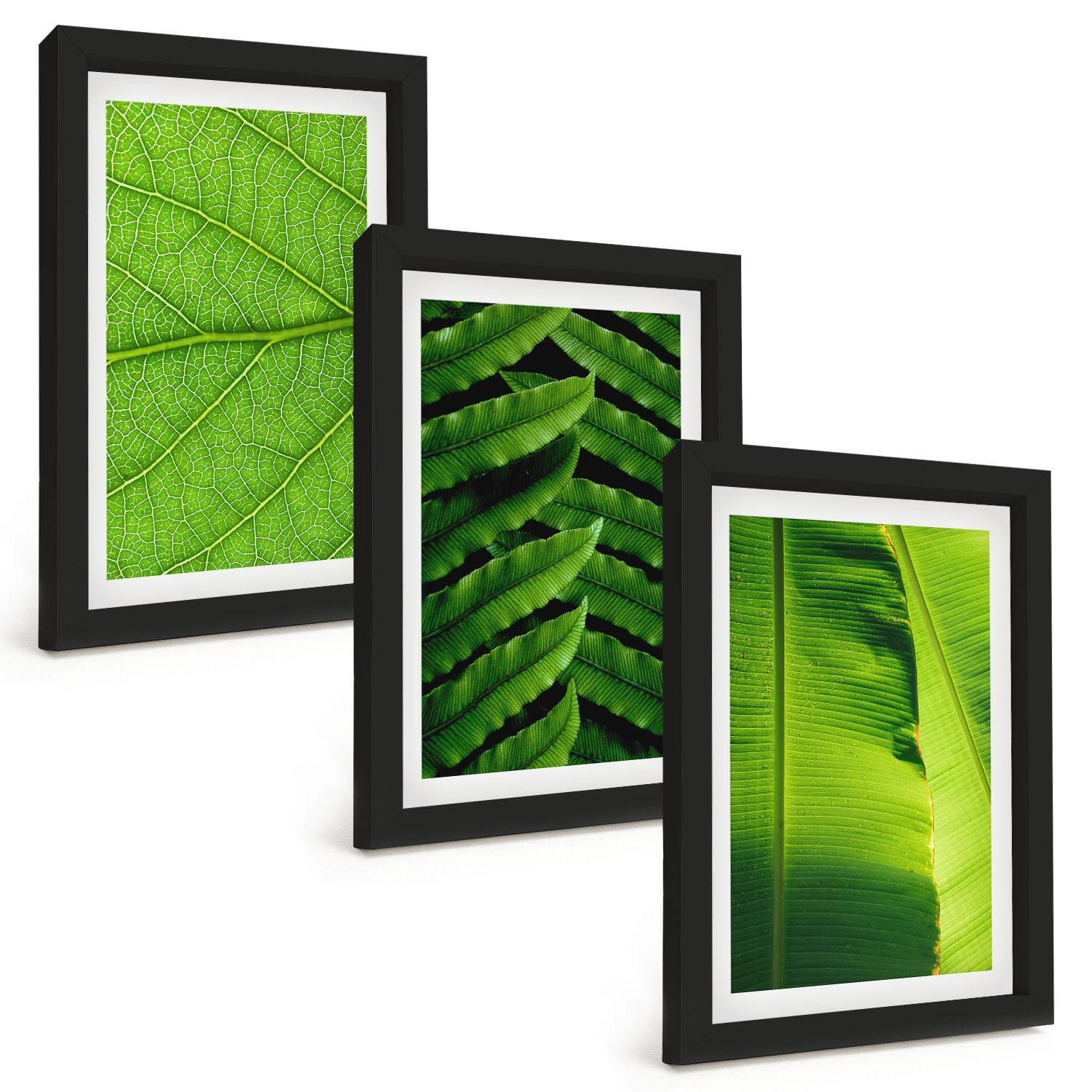 BILDER SET 3er Set - 20x30 cm Schwarzer Rahmen - Makrofotografie von tropischen Blättern - Schwarz, Kunststoff (20/30cm) - TULUP