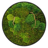 MOOSBILD Rund Ø 40 cm Mooswand Indoor mit echtem Kugelmoos-Flachmoos-Mix und Ästen Holzrahmen Grün - Dunkelgrün, Naturmaterialien (40/40/3cm) - ECD-Germany