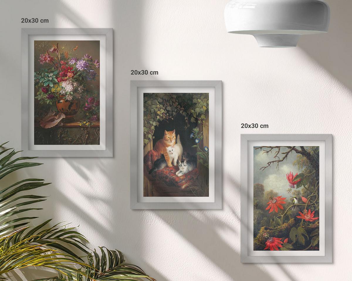 BILDER SET 3er Set - 20x30 cm Silberner Rahmen - Vintage-Blumen, Katzen, Natur - Silberfarben, Kunststoff (20/30cm) - TULUP