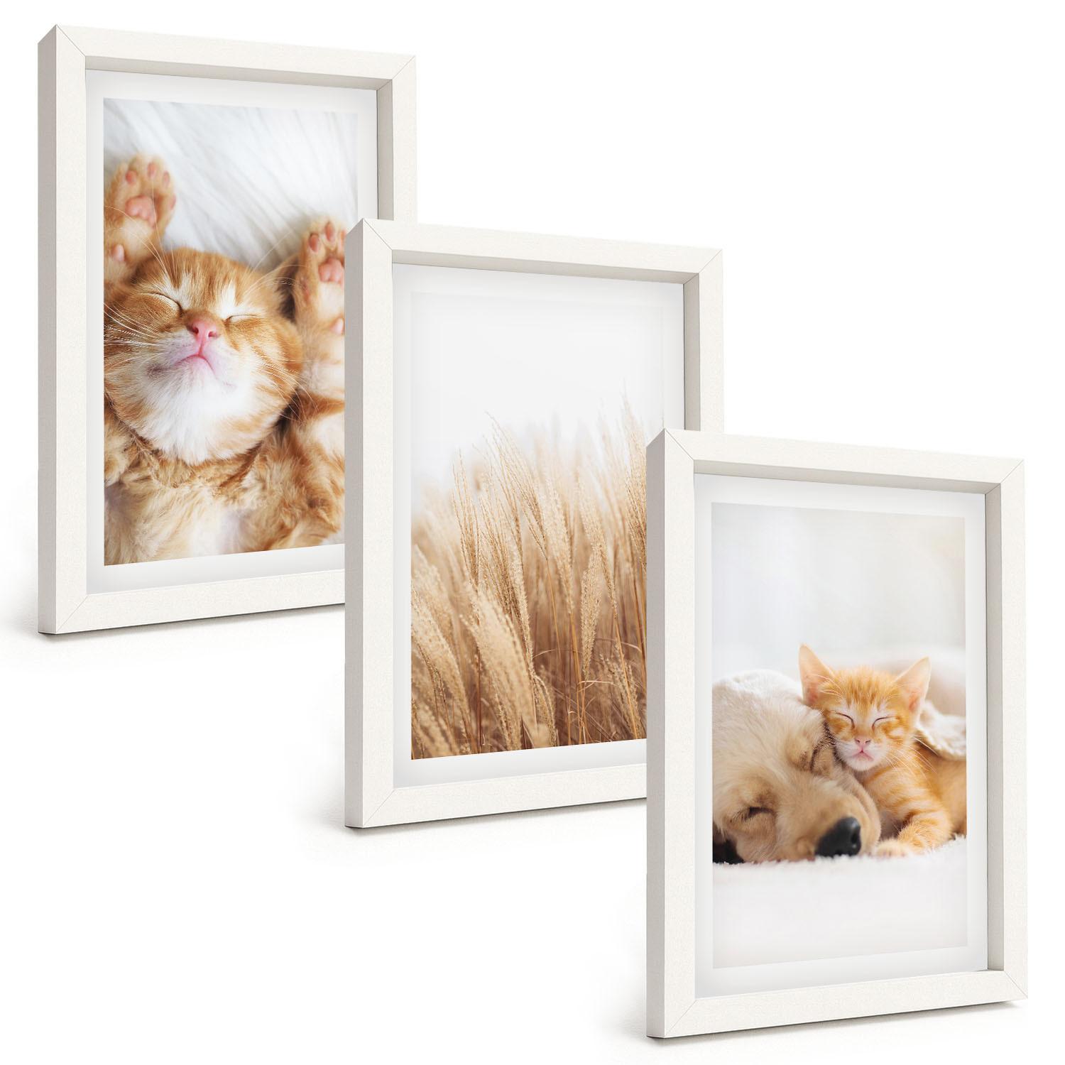 BILDER SET 3er Set - 20x30 cm Weißer Rahmen - Niedliche Tiere, Katzen, Hunde, Boho-Stil - Weiß, Kunststoff (20/30cm) - TULUP