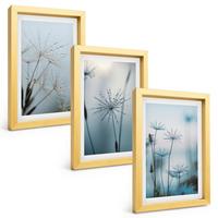 BILDER SET 3er Set - 20x30 cm Goldrahmen - Löwenzahn mit Wassertropfen - Goldfarben, Kunststoff (20/30cm) - TULUP