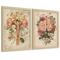 POSTER Set aus 2 Weibliche Anatomie Drucke und Wandbilder mit Gehirn und Gebärmutter Botanischer Retro Floraler Stil Größe Leichter Holzrahmen A3 - Beige, Papier (29.7/42/3cm) - Nacnic
