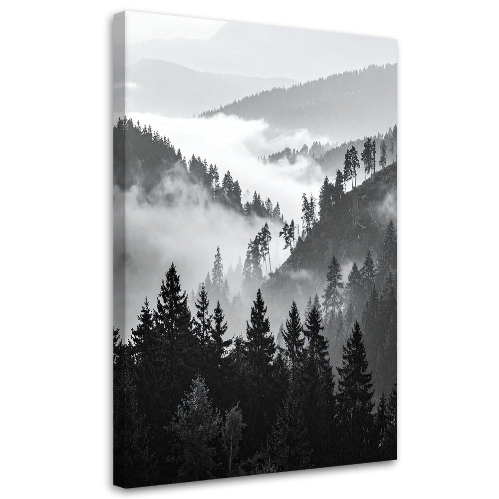 LEINWANDBILD Berge Wald Bäume Schwarz-Weiß 40x60cm - Schwarz, Textil (40/60cm) - Feeby