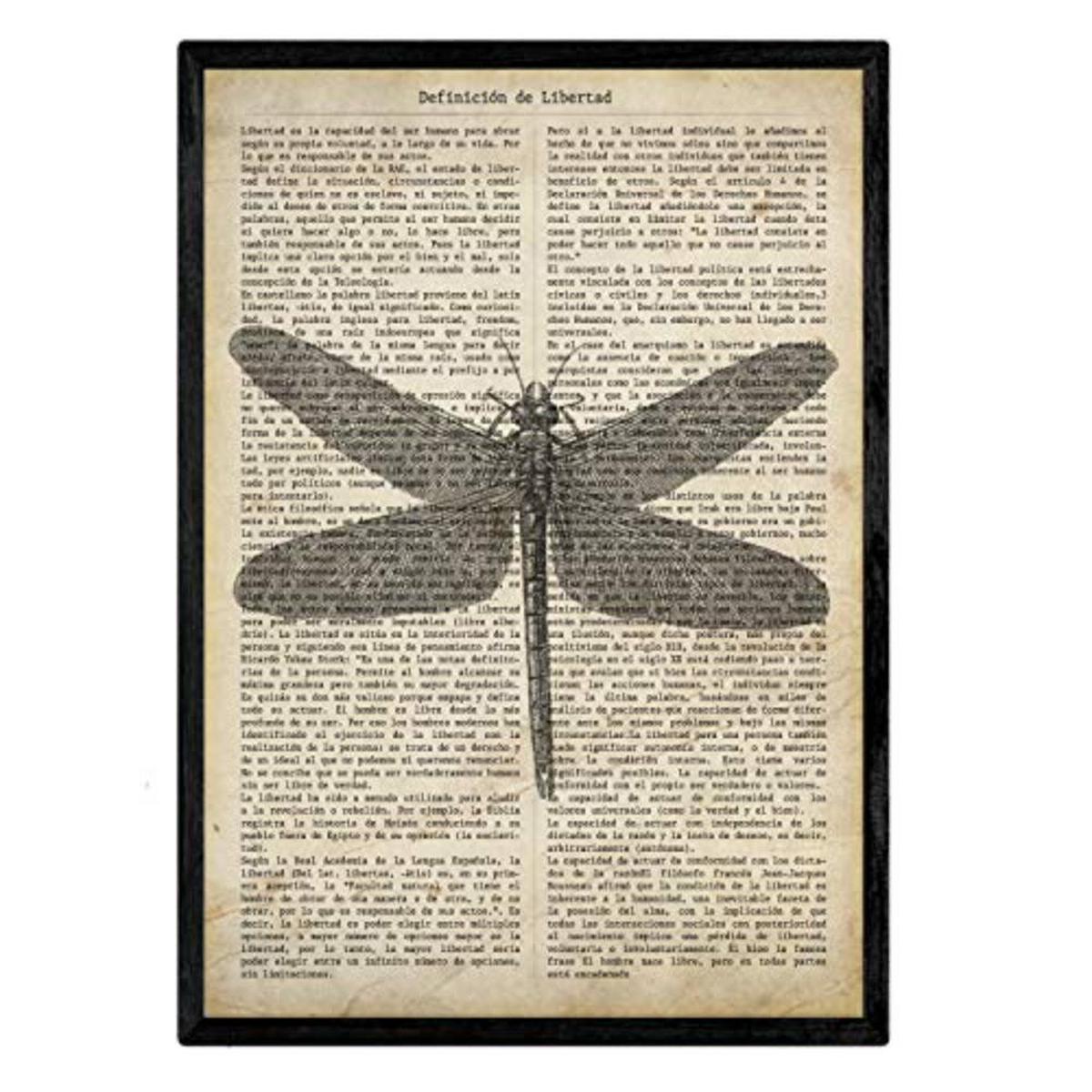 POSTER Set mit 4 Jahrgang Enzyklopädie A4 Schwarzer Rahmen - Schwarz, Papier (29.7/3cm) - Nacnic