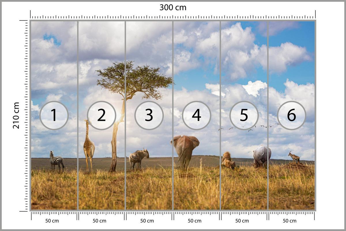 FOTOTAPETE für Kinderzimmer Safari Tiere Elefant Giraffe Löwe 300x210 - Beige/Braun, Papier (300/210cm) - Muralo