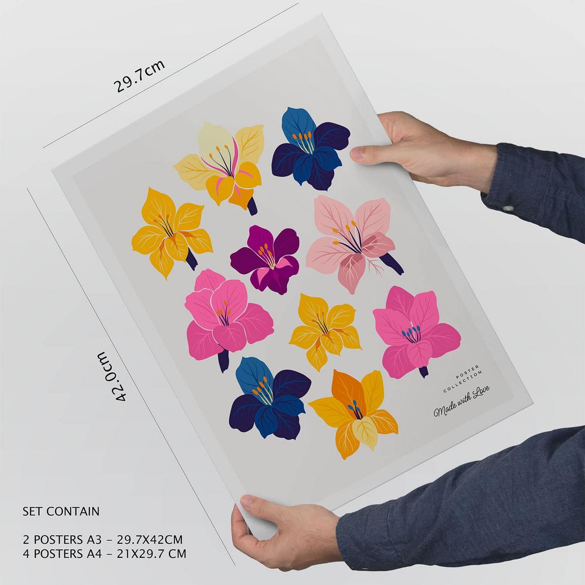 POSTER Set Mit 6 Blumen Chromatische Skala A3 & A4 Rahmenlos - Klar, Papier (29/3cm) - Nacnic