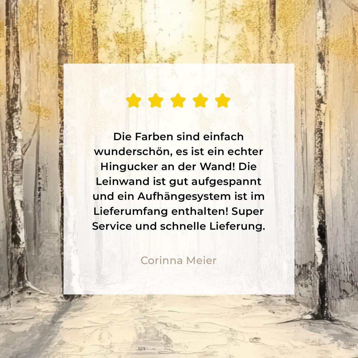 LEINWANDBILD Winter - Abstrakt - Schnee - Natur - Sonne Gemälde 60x40 cm - Grau, Textil (60/40cm) - MuchoWow