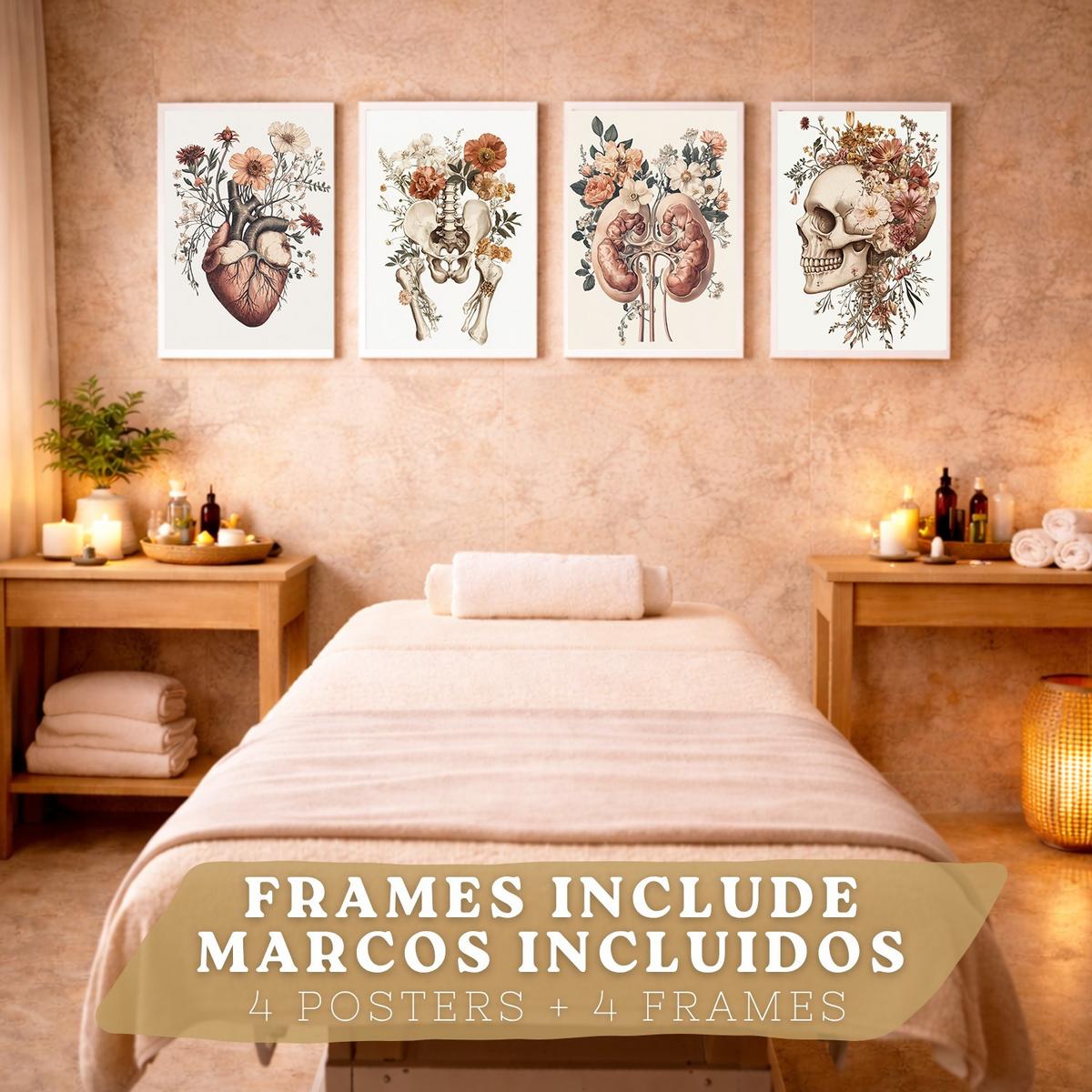POSTER Set aus 4 Anatomie Drucke und Wandbilder mit Herz Nieren Schädel und Becken Botanischer Stil Medizinische Wanddekoration Größe Weißer Rahmen A3 - Weiß, Papier (29.7/42/3cm) - Nacnic
