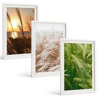 BILDER SET 3er Set - 40x60 cm Weißer Rahmen - Gräser farbenfrohe Natur - Weiß, Kunststoff (40/60cm) - TULUP