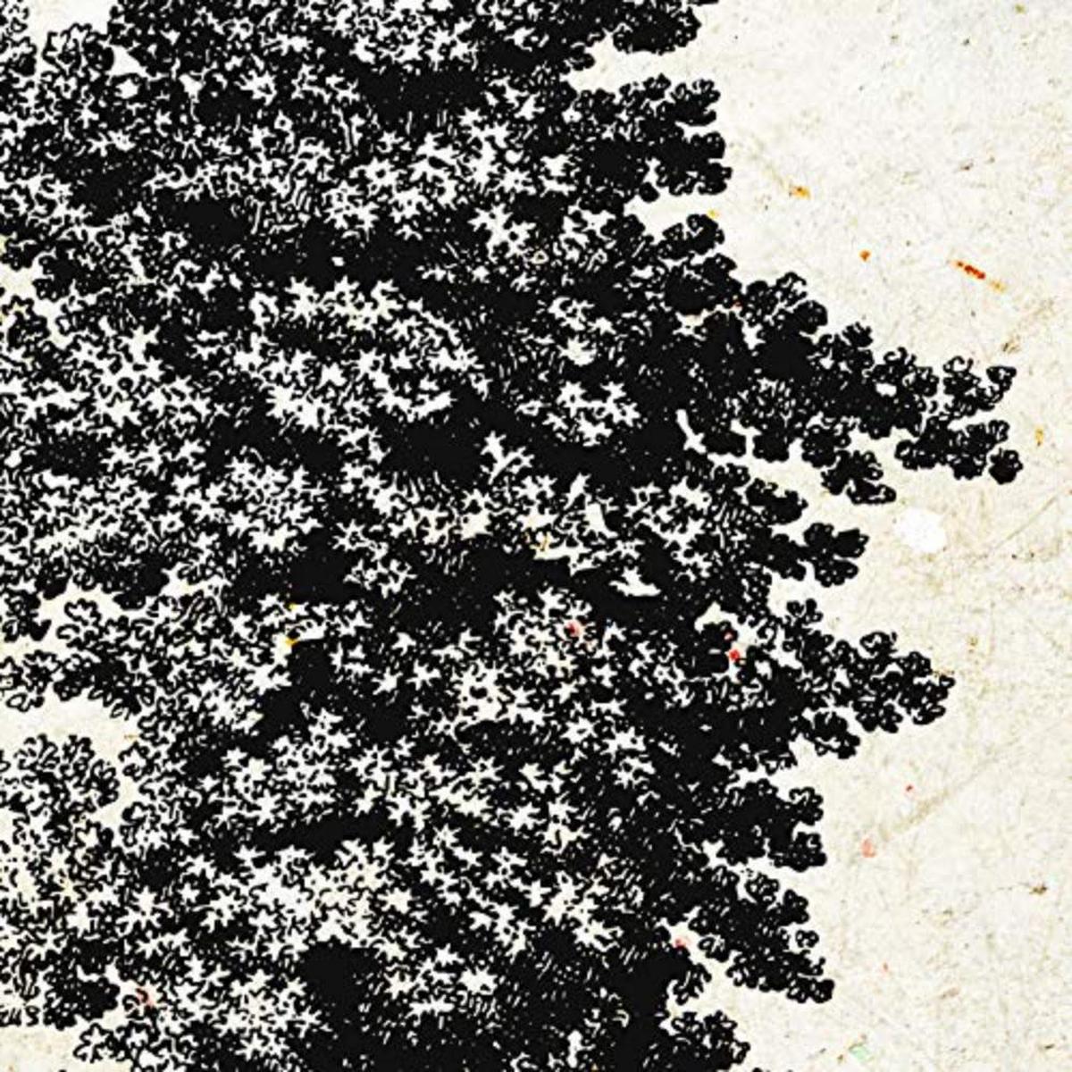 POSTER Set mit 4 Blättern der Hohe Bäume in der 20x20cm Schwarzer Rahmen - Schwarz, Papier (20/3cm) - Nacnic