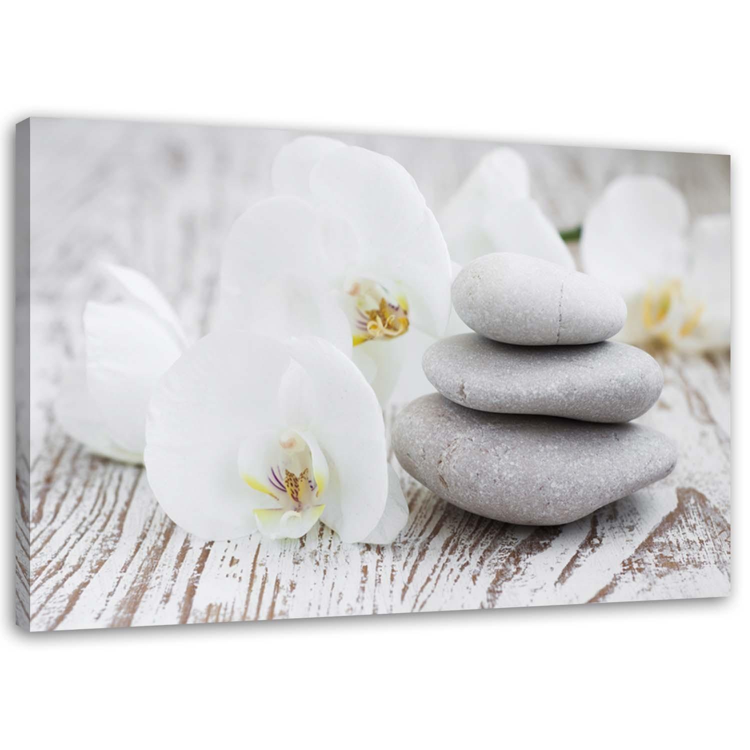 BILD Weiße Orchidee und Steine 90x60cm - Grau, Textil (90/60cm) - Feeby