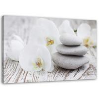 BILD Weiße Orchidee und Steine 90x60cm - Grau, Textil (90/60cm) - Feeby