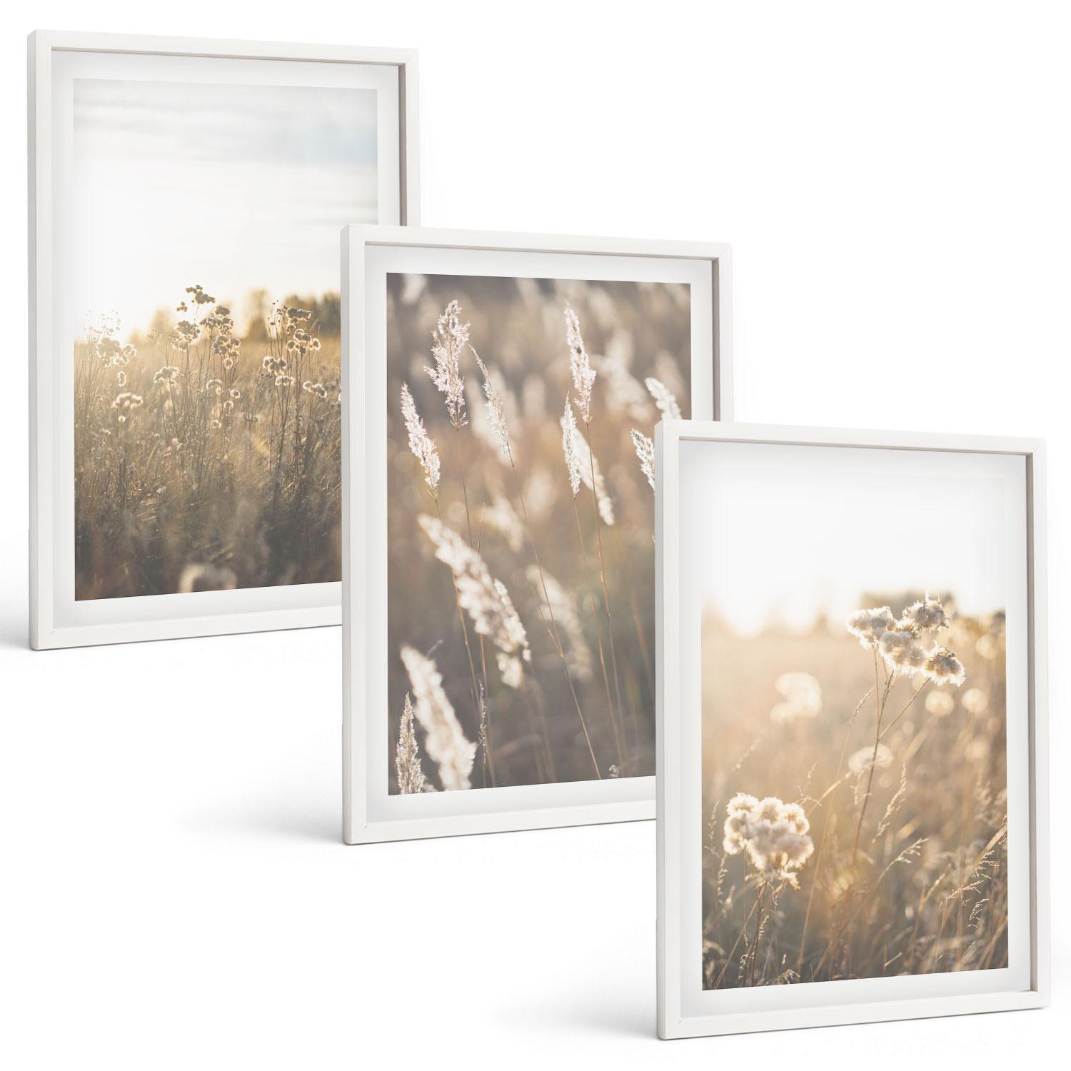 BILDER SET 3er Set - 40x60 cm Weißer Rahmen - Landschaftsgrasblumen Wärme - Weiß, Kunststoff (40/60cm) - TULUP