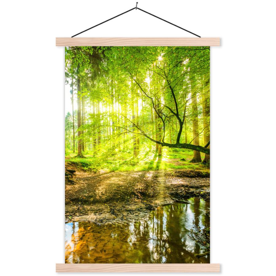 POSTER MIT MAGNETLEISTEN Wald - Landschaft - Wasser - Bäume - Sonne - Grün - Natur Wandbild Schlafzimmer 60x90 cm - Grün, Textil (60/90/0.15cm) - MuchoWow